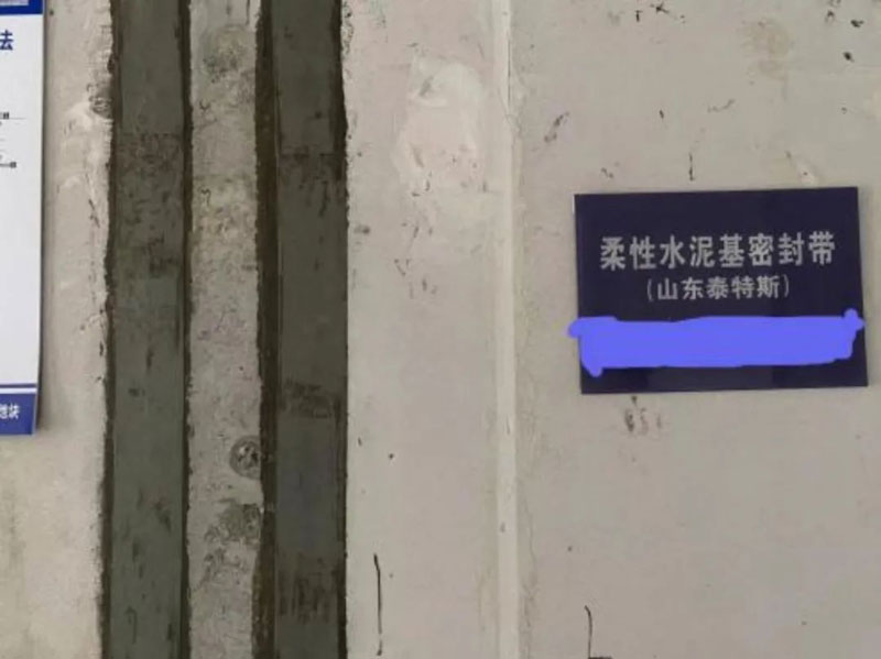 泰特斯为何成为行业翘楚？“精、尖、专”是关键！